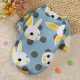 Rabit blue