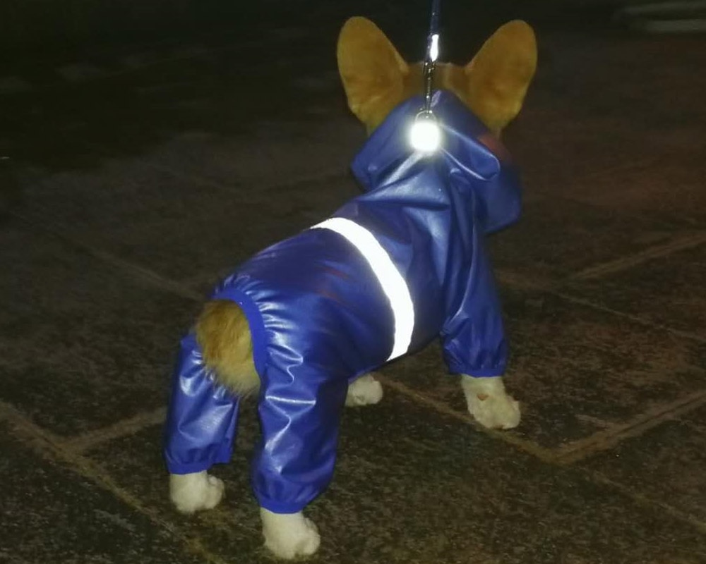 Animal-de-compagnie-chien-imperméable-combinaison-imperméable-réfléchissant-manteau-de-pluie-crème-solaire-chien-vêtements-de-plein-air-veste-pour-petit-chien-fournitures-pour-animaux-de-compagnie Animal de compagnie chien imperméable combinaison imperméable réfléchissant manteau de pluie crème solaire chien vêtements de plein air veste pour petit chien fournitures pour animaux de compagnie