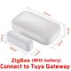 Tuya ZigBee version
