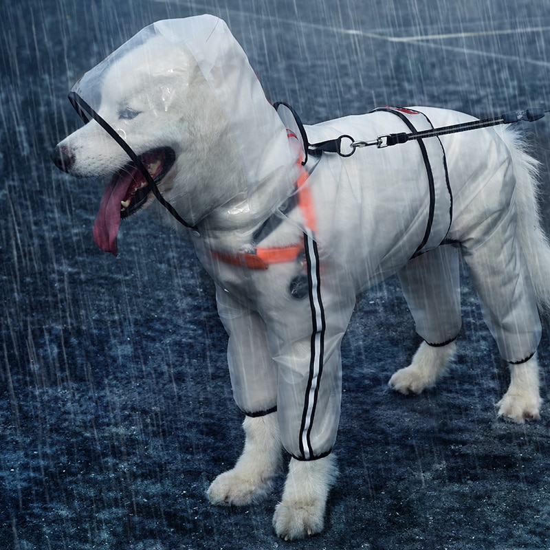 HOOPET-imperméable-pour-animaux-domestiques-|-Chiot-à-quatre-pieds,-capuchon-Transparent,-imperméable,-Teddy,-grand-chien,-vêtements-de-pluie-pour-animaux HOOPET-imperméable pour animaux domestiques | Chiot à quatre pieds, capuchon Transparent, imperméable, Teddy, grand chien, vêtements de pluie pour animaux