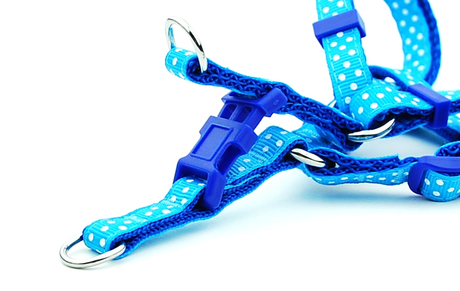 Petit-chien-chat-harnais-laisse-réglable-gilet-collier-chiot-extérieur-marche-Chihuahua-Terier-Schnauzer Petit chien chat harnais laisse réglable gilet collier chiot extérieur marche Chihuahua Terier Schnauzer