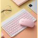 pink key-mouse