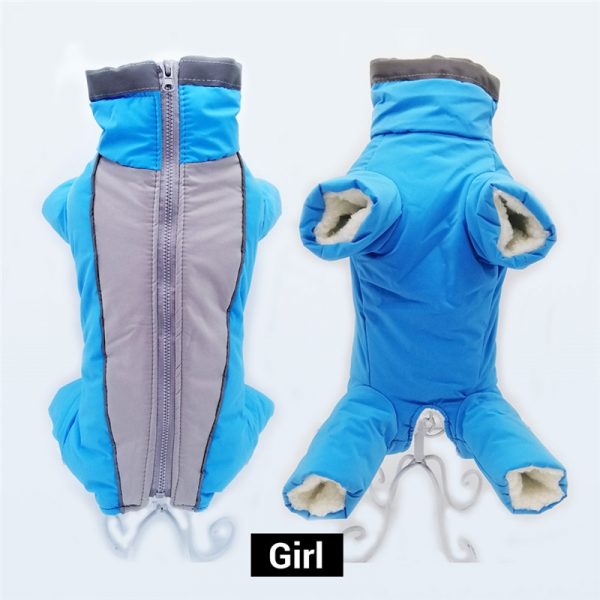 Chien Robe Chiot Jupe Vêtements Pour Chien Robes De Princesse Tutu Jupe