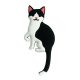 Cat 3