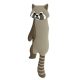 Raccoon 1