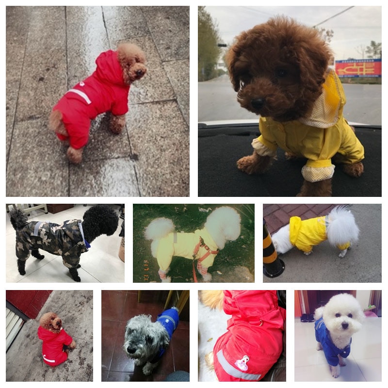 Chien-imperméable-chiot-manteau-de-pluie-avec-capuche-réfléchissant-imperméable-chien-vêtements-doux-respirant-chat-de-compagnie-petit-chien-vêtements-de-pluie-XS---2XL Chien imperméable chiot manteau de pluie avec capuche réfléchissant imperméable chien vêtements doux respirant chat de compagnie petit chien vêtements de pluie XS - 2XL