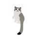 Cat1