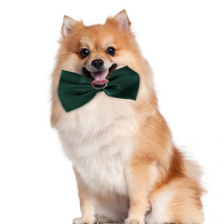 HOOMIN cravate vêtements chiot animaux cravate pour