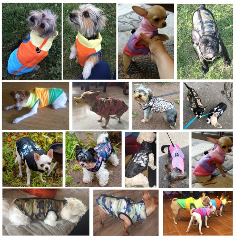 Vêtements pour animaux de compagnie chauds pour chien