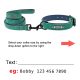 Green Set