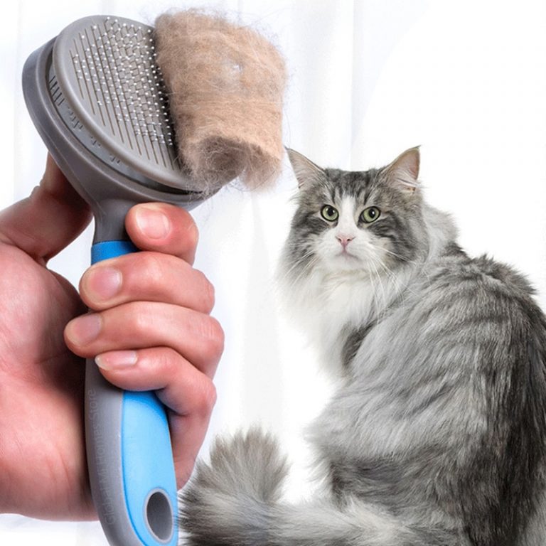 Tflag peigne pour animaux de compagnie Xiomi chat pour