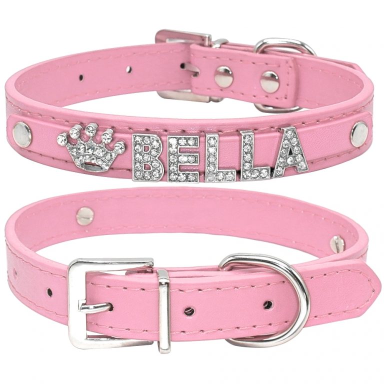 Collier pour chihuahua à strass avec noeud papillon