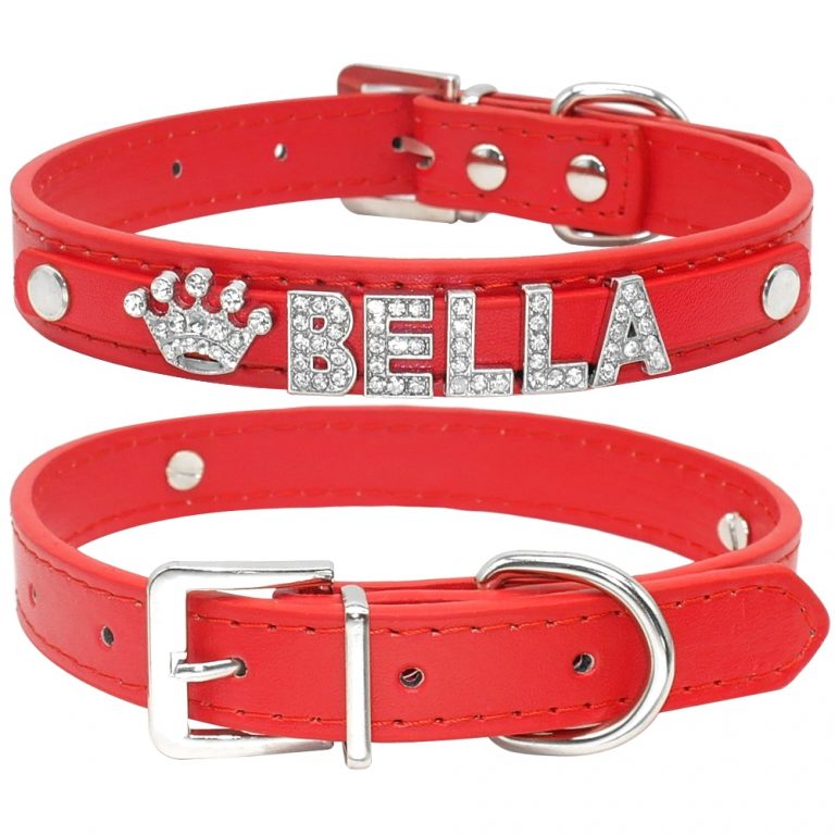 Couronne strass pour collier chien personnalisable slide 10mm