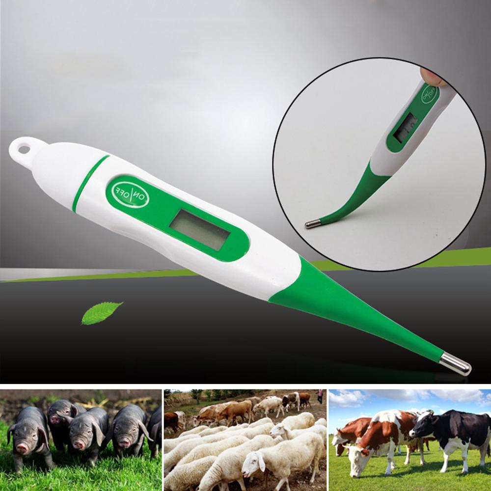 Thermomètre Rectal Pour Chien Et Chat - Lecture En 10 Sec, Sonde Courte Sécurisée, 30 Embouts Jetables