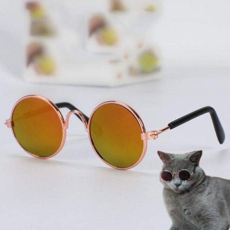 Lunettes De Soleil Pour Chien Anti-UV Avec Verres Miroir - Lot De 2, Bande élastique Réglable, Style Et Protection