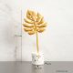 height 23cm-350850