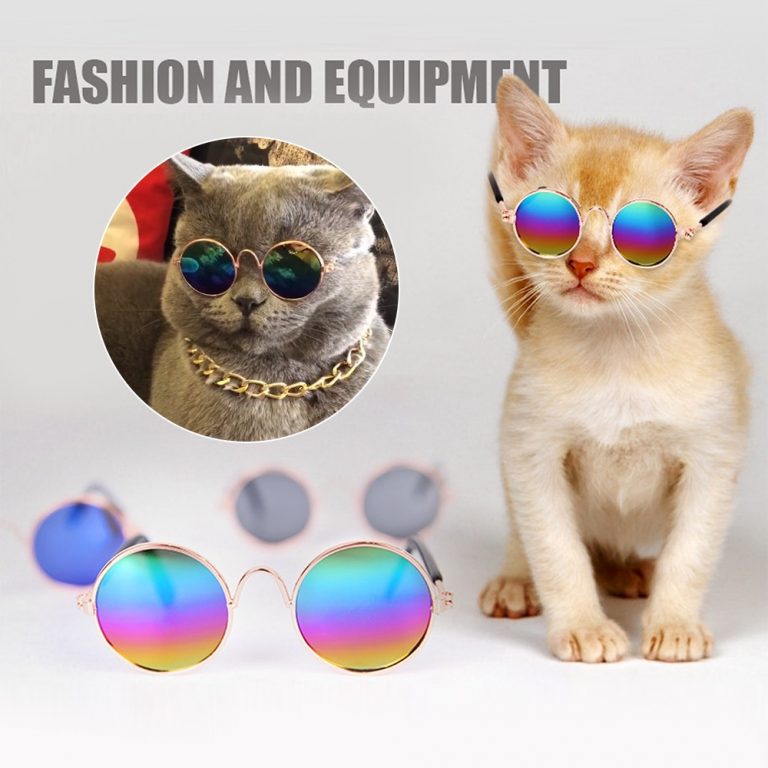 1pc belle animal chat chien produits