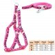 Pink Zebra