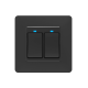2 Gang Black Switch