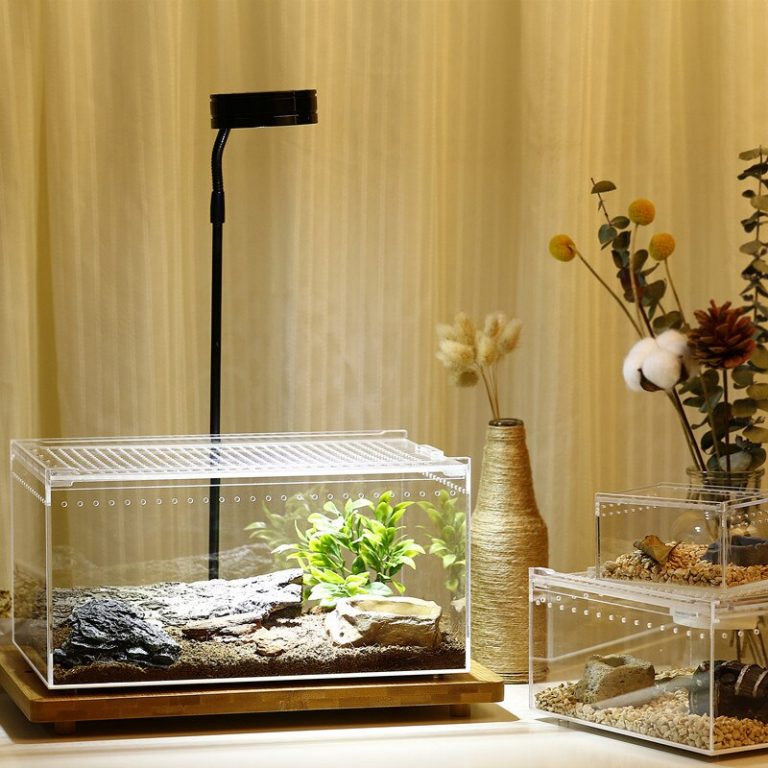 Terrarium En Acrylique 30x20x15 Cm - Pour Petits Reptiles, Insectes, Hamsters - Transparent Et Ventilé